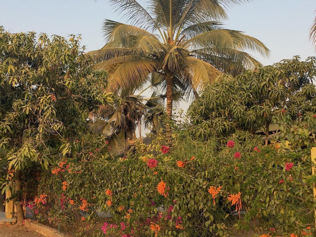 Les Maisons De Marco SENEGAL - B&B Cap Skirring Extérieur photo