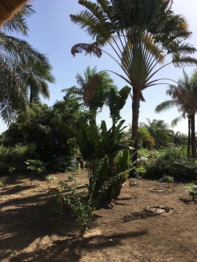 Les Maisons De Marco SENEGAL - B&B Cap Skirring Extérieur photo