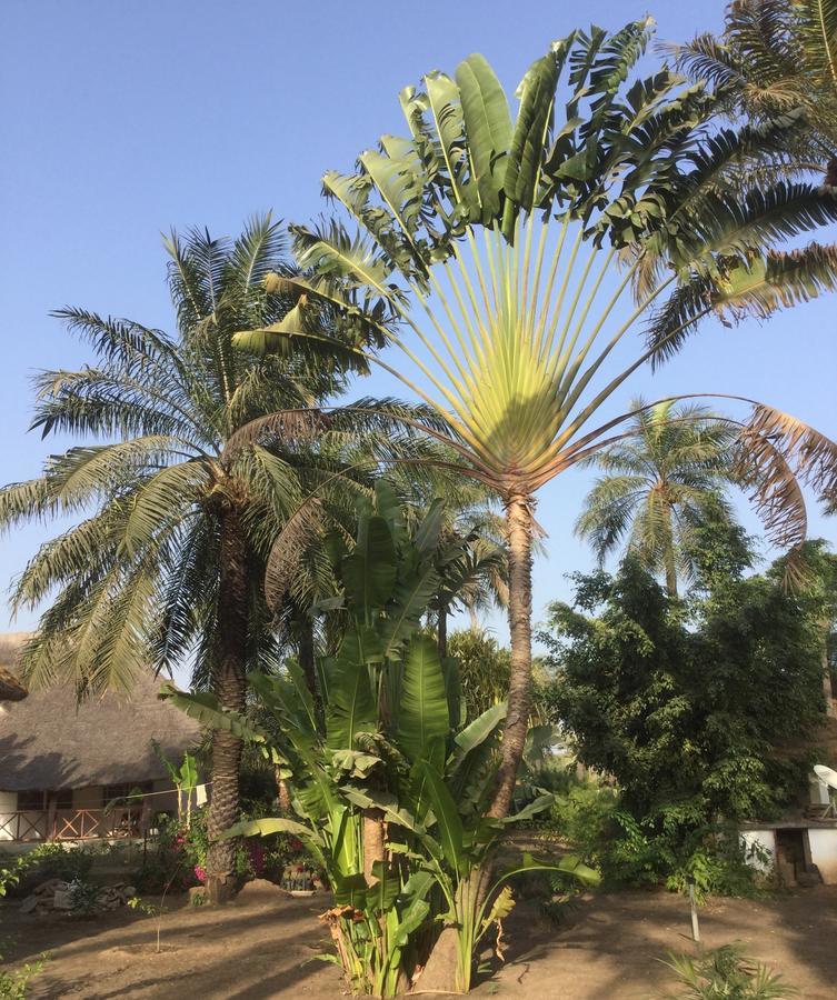 Les Maisons De Marco SENEGAL - B&B Cap Skirring Extérieur photo