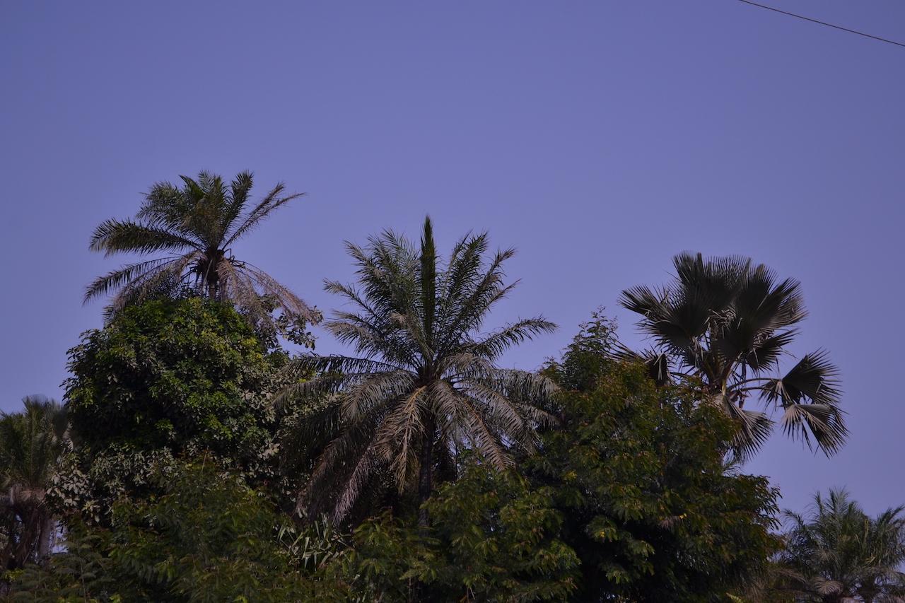 Les Maisons De Marco SENEGAL - B&B Cap Skirring Extérieur photo