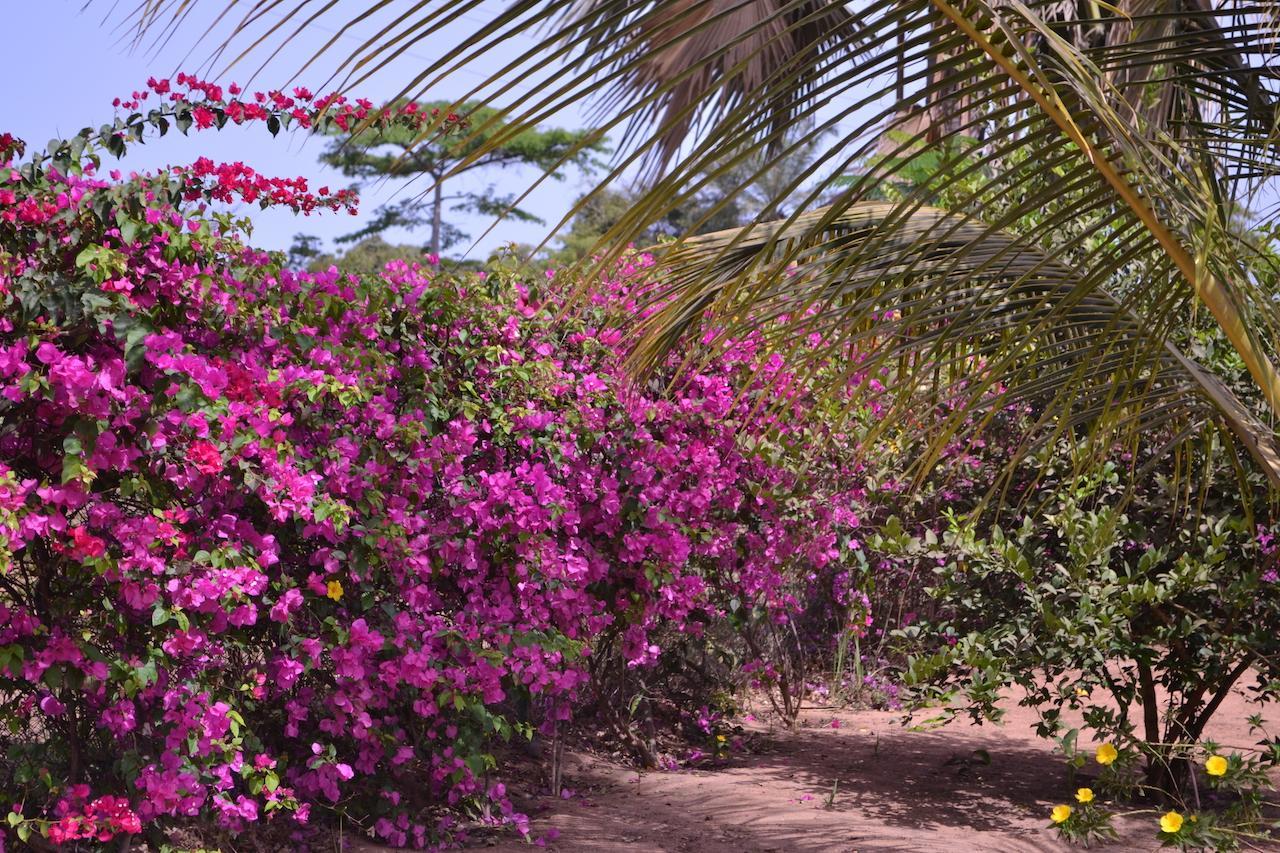 Les Maisons De Marco SENEGAL - B&B Cap Skirring Extérieur photo